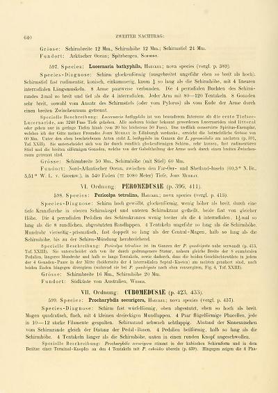Lucernaria bathyphila Monographie der Medusen von Ernst Haeckel Image